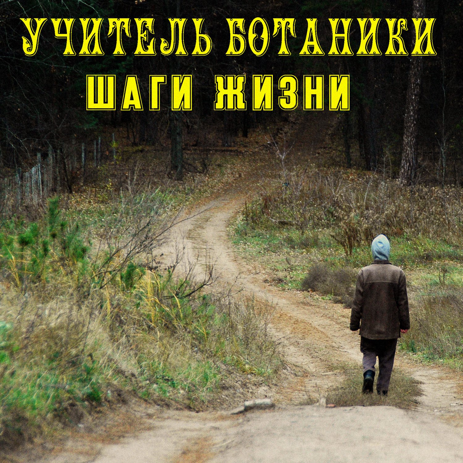 книга верзилина учитель ботаники. студент ботаник. н м верзилин. урок биологии. учитель ботаники.
