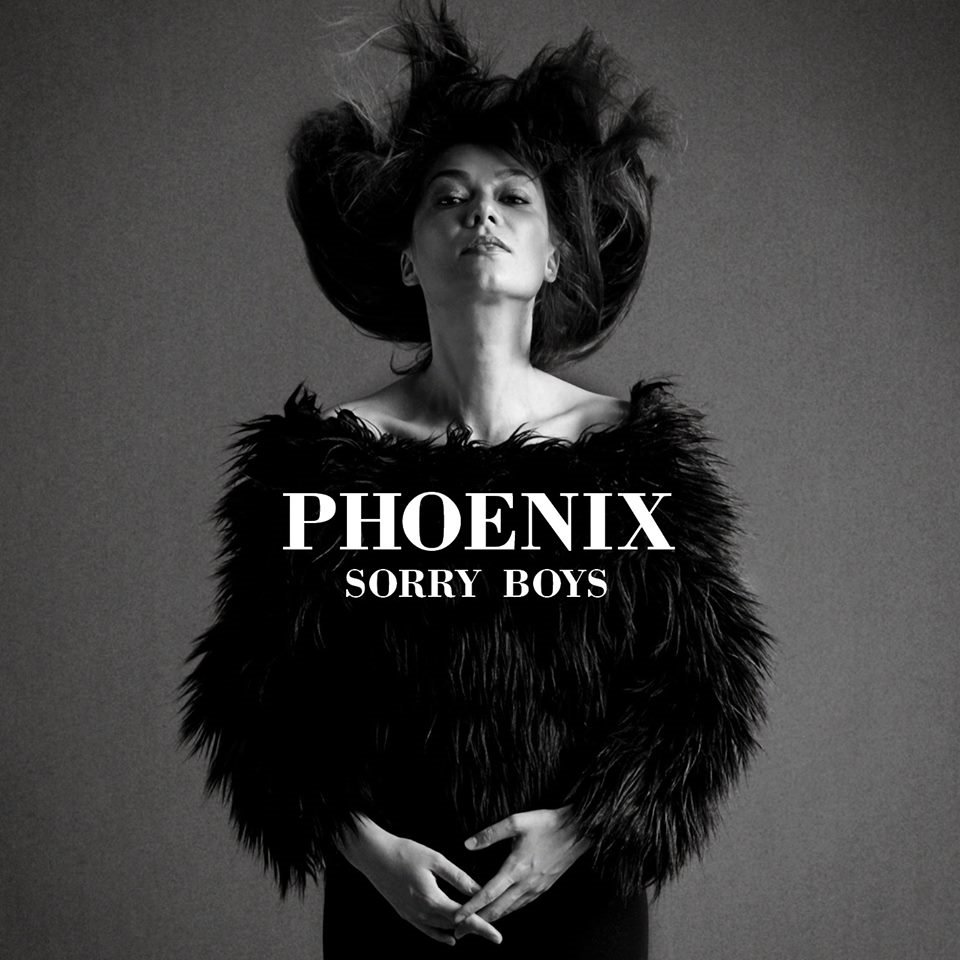 Sorry! музыкант. Regret boy. Sorry boys. Pakalena - накрыло картинки обложки. Boy phoenix.