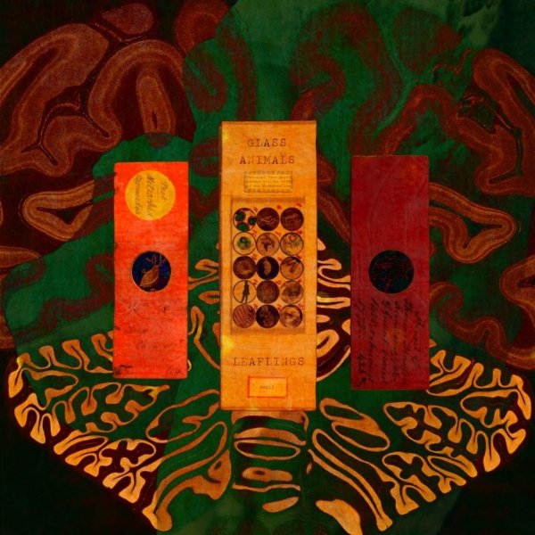 Golden Antlers — Glass Animals Golden Antlers — Glass Animals