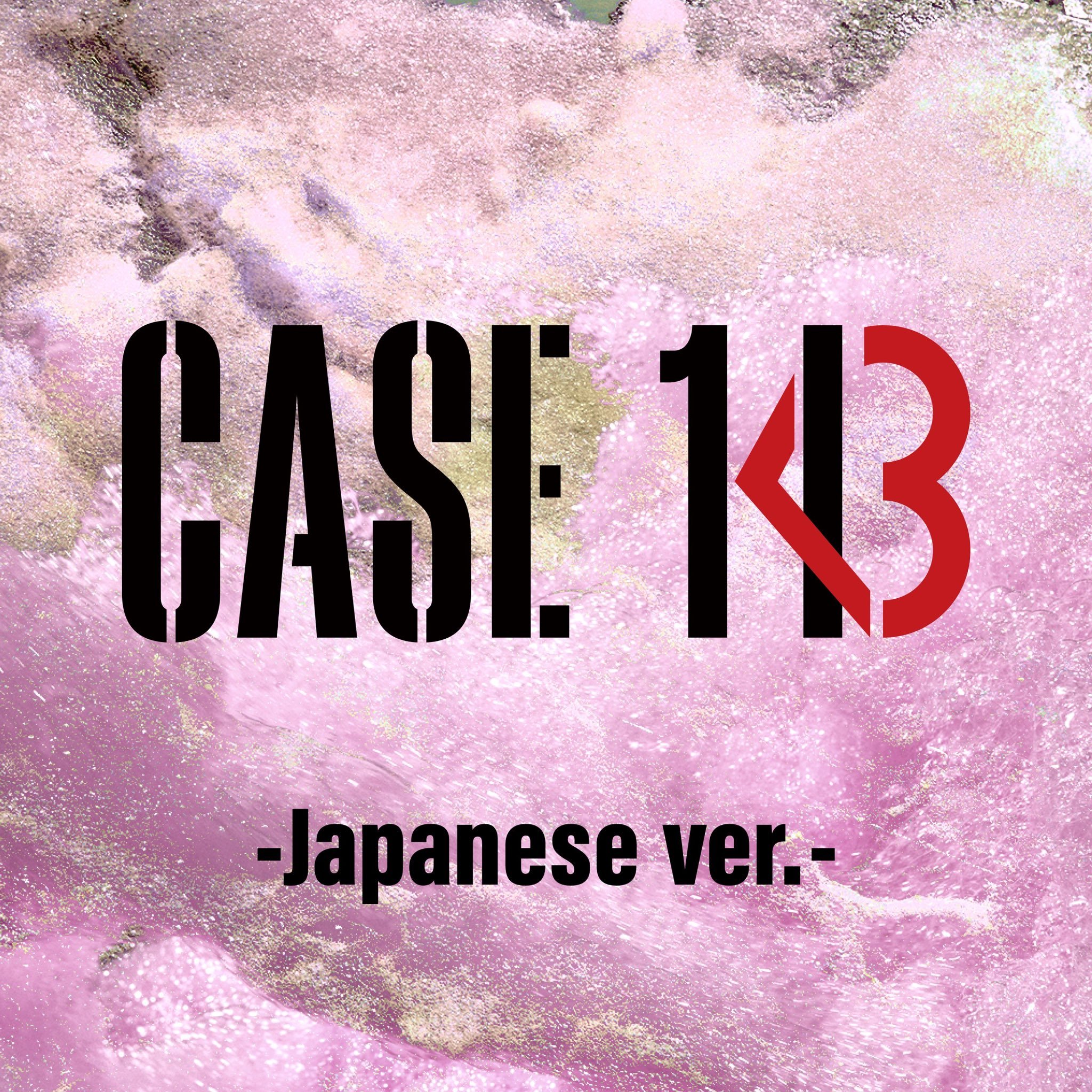 CASE 143  Stray Kids        