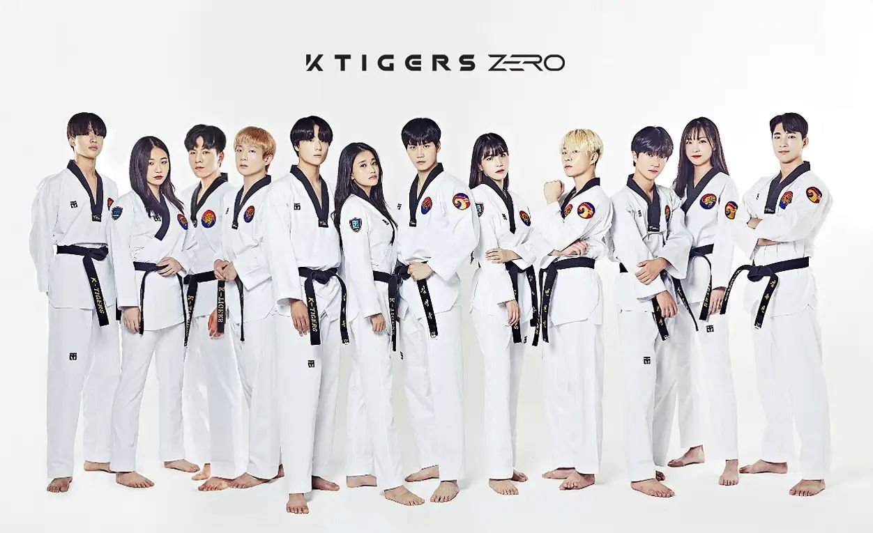Корейские тигры тхэквондо. Карате. Группа k3. Taekwondo group team k tigers. K tigers zero группа.
