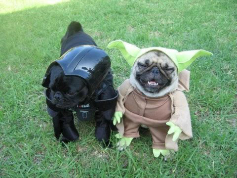 Chewbacca Star wars, Star wars episodes, War