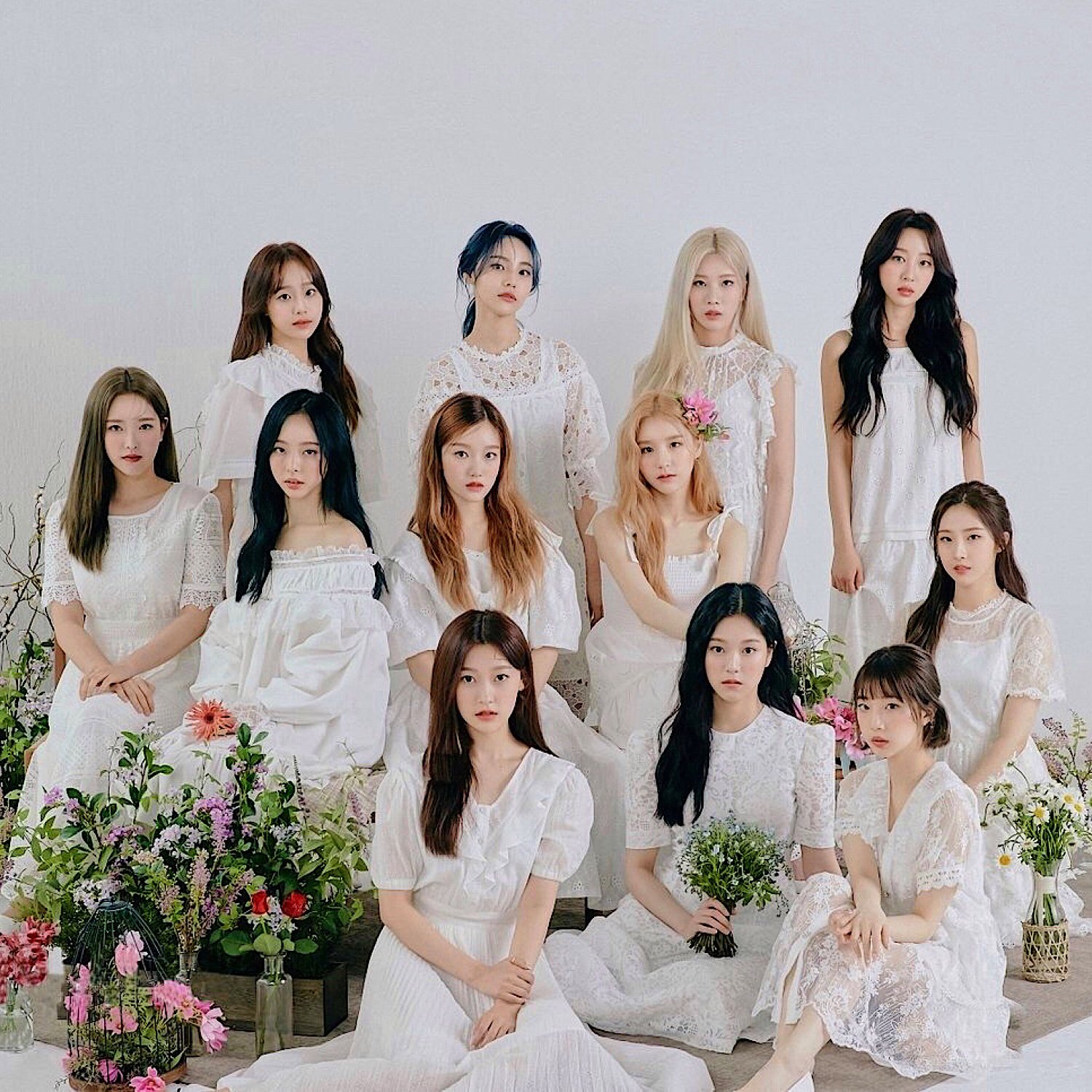 Loona music, videos, stats, and photos | Last.fm