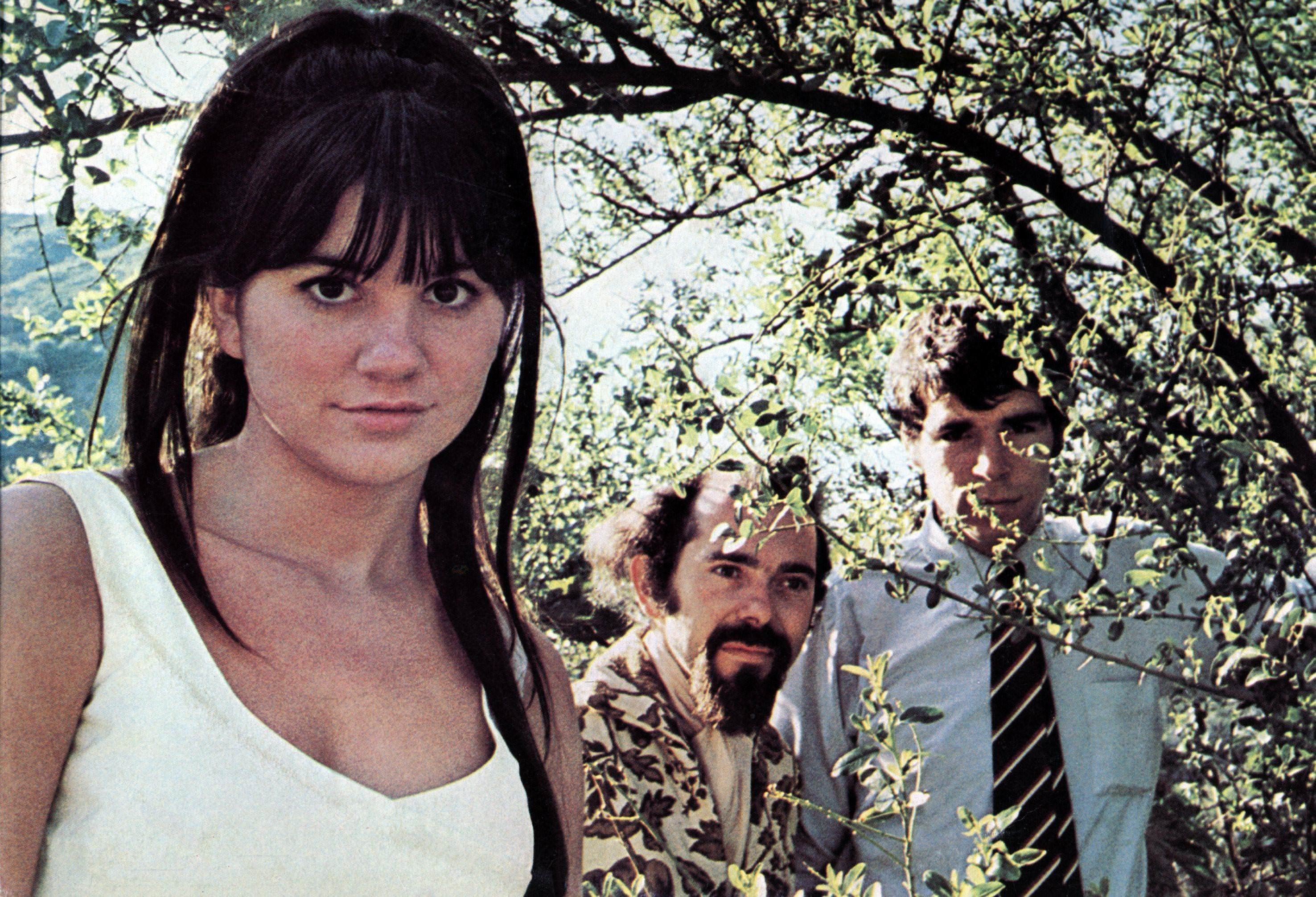 The Stone Poneys hometown, lineup, biography | Last.fm