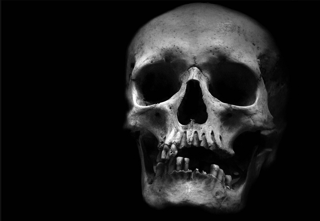 Ancient Skull Suggests an Early Murder - The New York Times