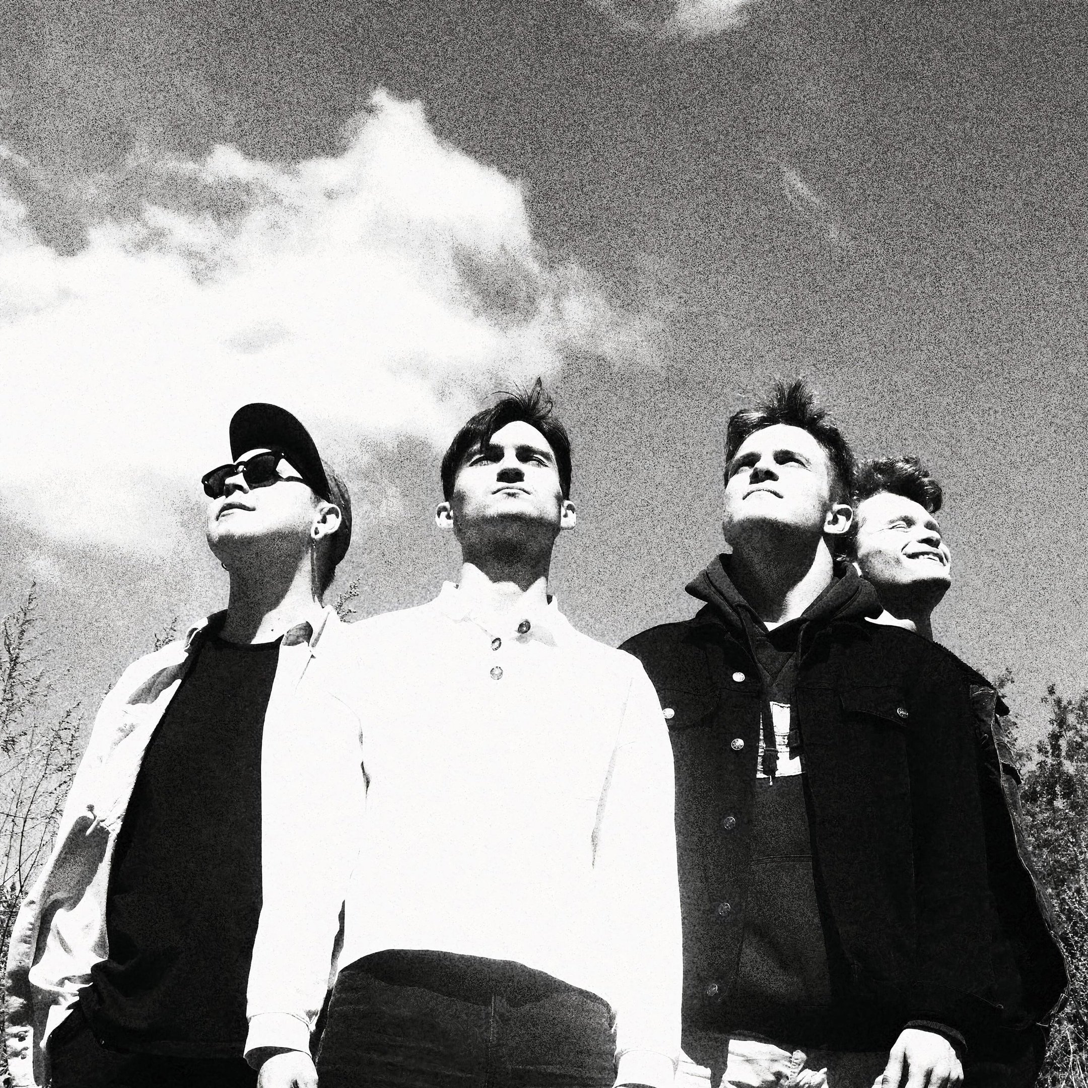 Животные космонавты. Космическая тема. Космос это круто книга. В космос верят. Звездное небо.