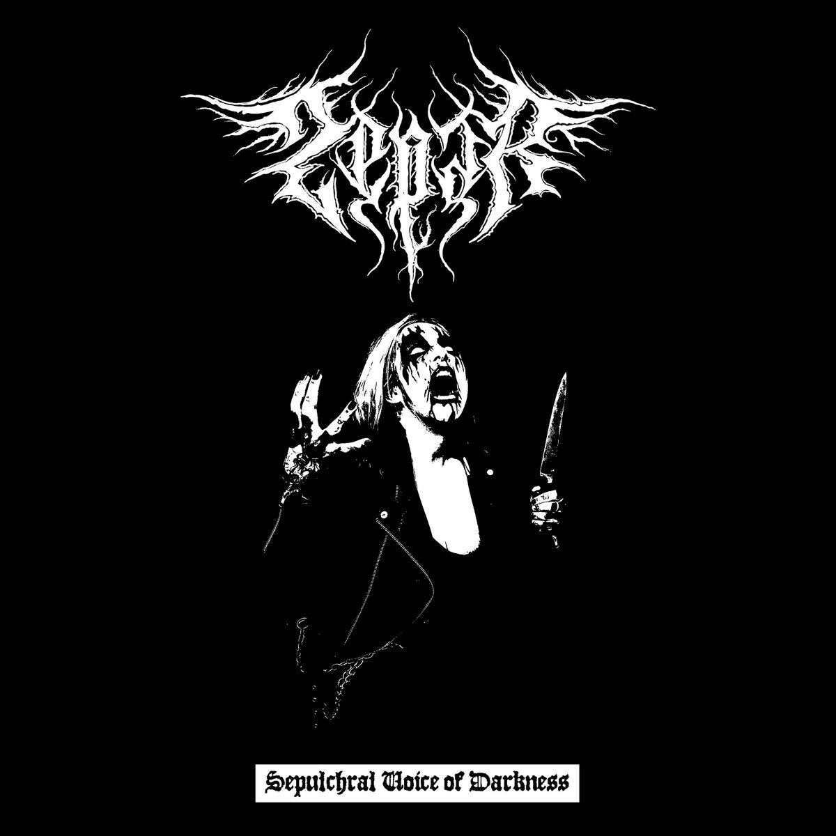 Dark hear. Black Metal 2022. Zepar Band Metal. Zepar — Sepulchral Voice of Darkness (2022) фото.