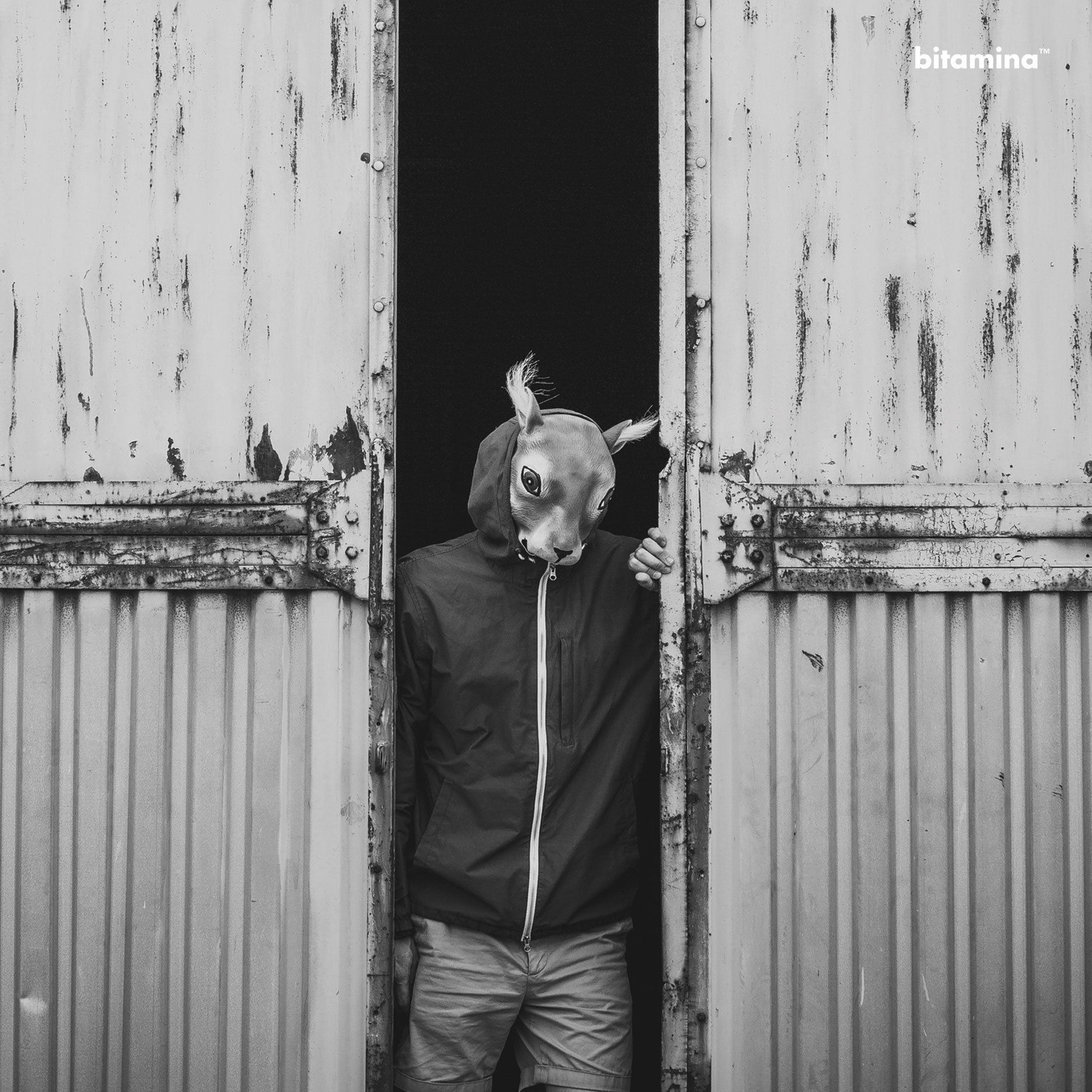 Poka Jak u Ciebie Tańczą — Bitamina | Last.fm