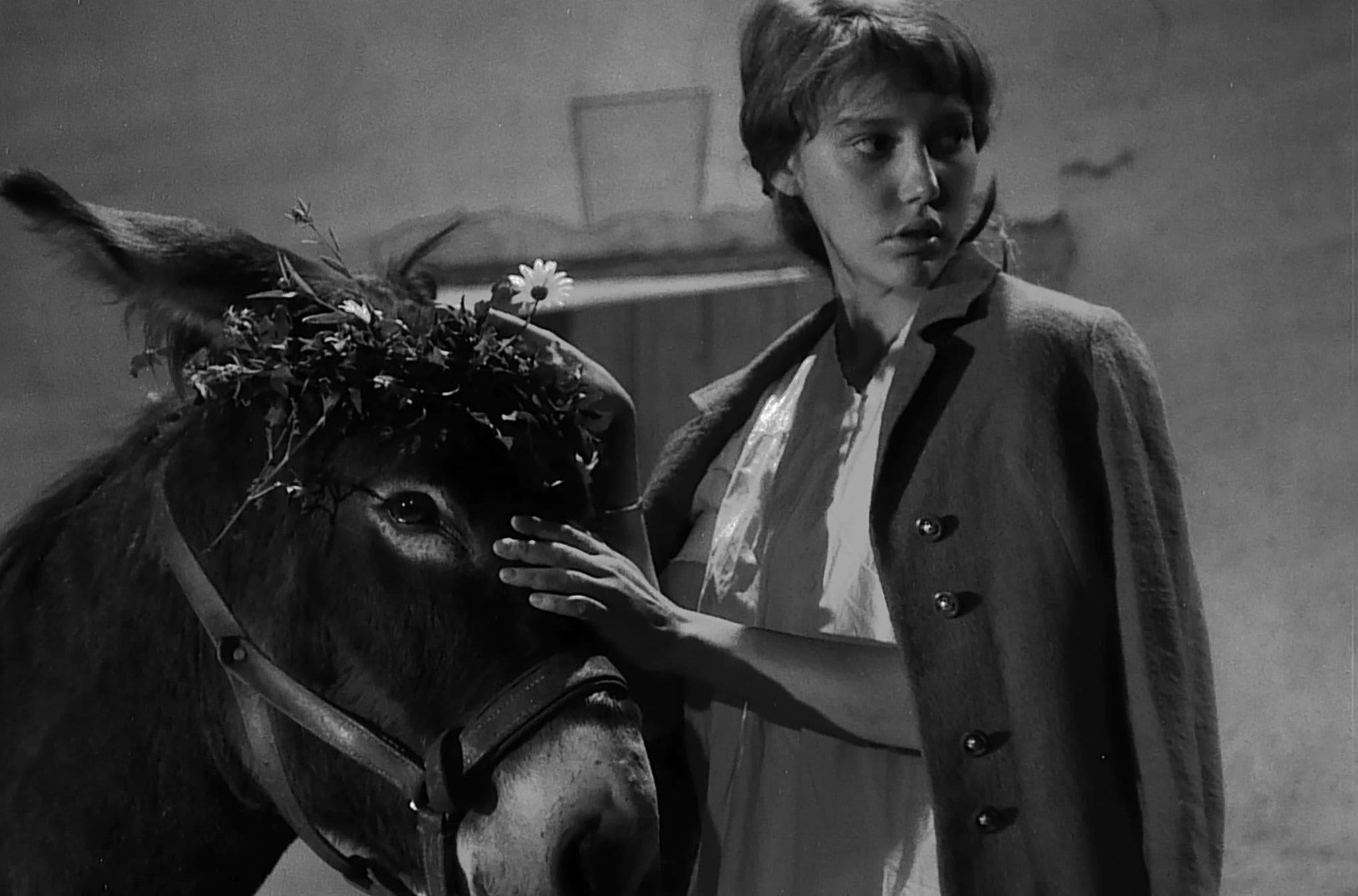 Создания 1966. Наудачу, бальтазар  au hasard balthazar (1966). робер брессон наудачу бальтазар. наудачу (1966).
