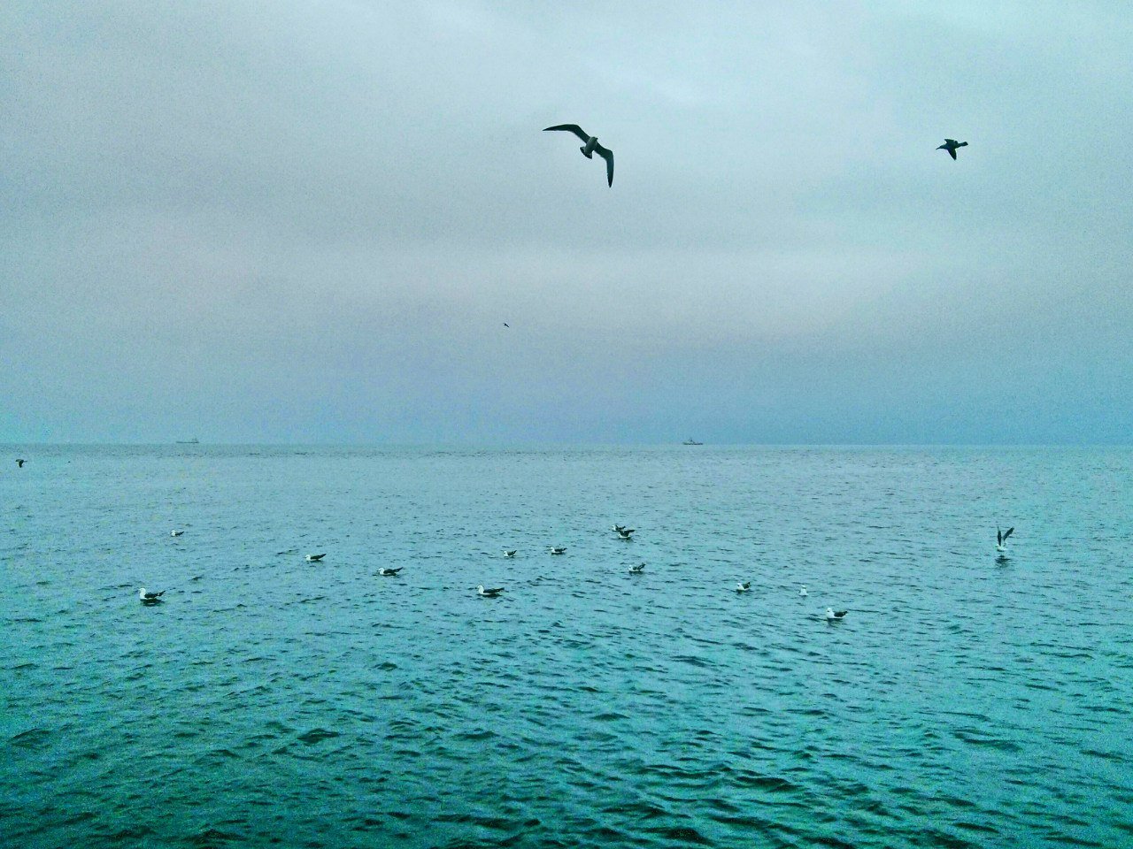 Broken sea. Broken sea. Broken sea. Broken sea. Broken sea dragons.