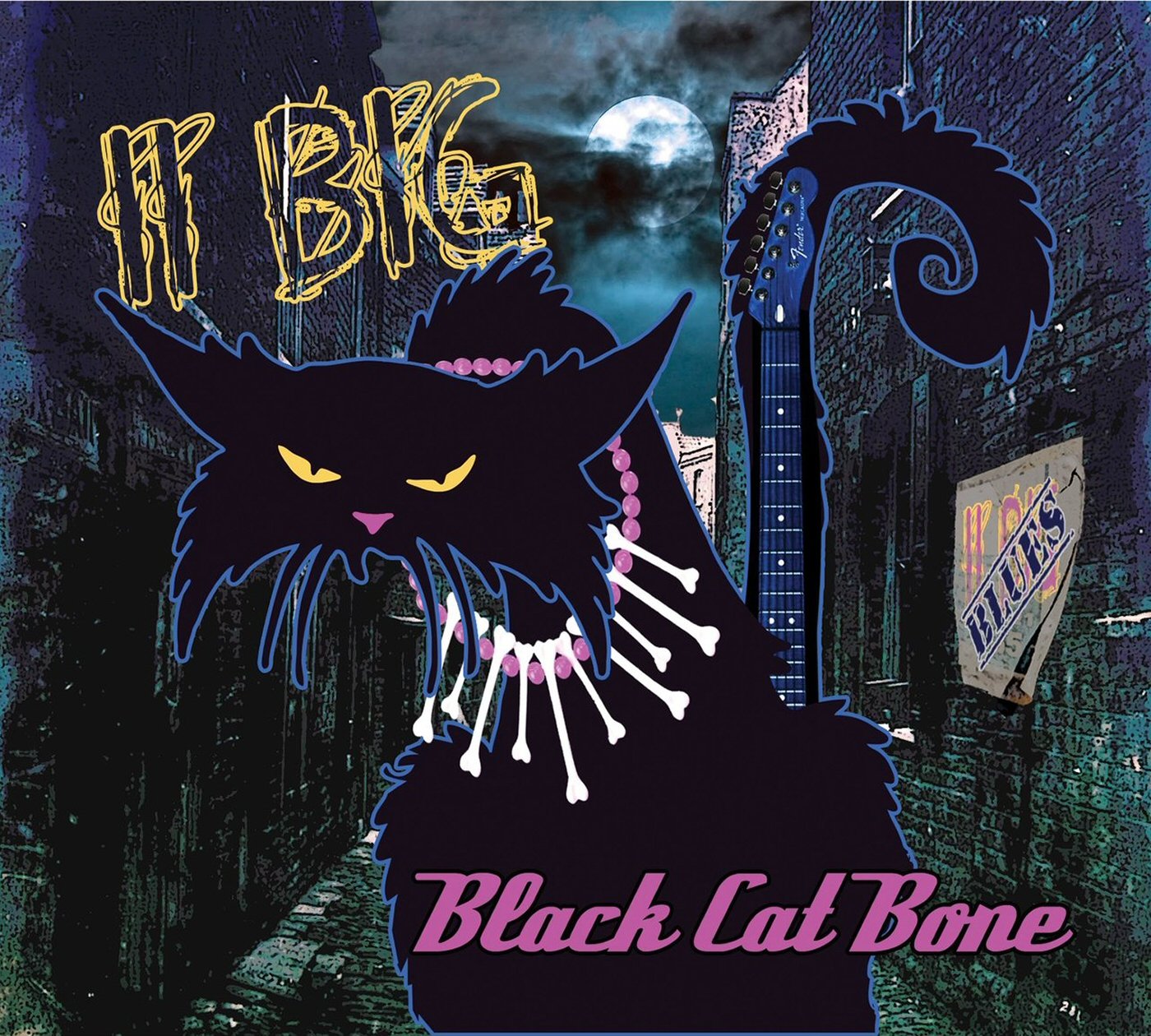 Black cat bone. Группа Black Cat Bones. Black Cats группа. Сообщество чёрный кот. Блюз черная кошка группа.