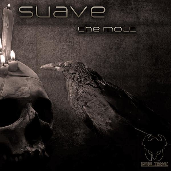 Suave music, videos, stats, and photos | Last.fm