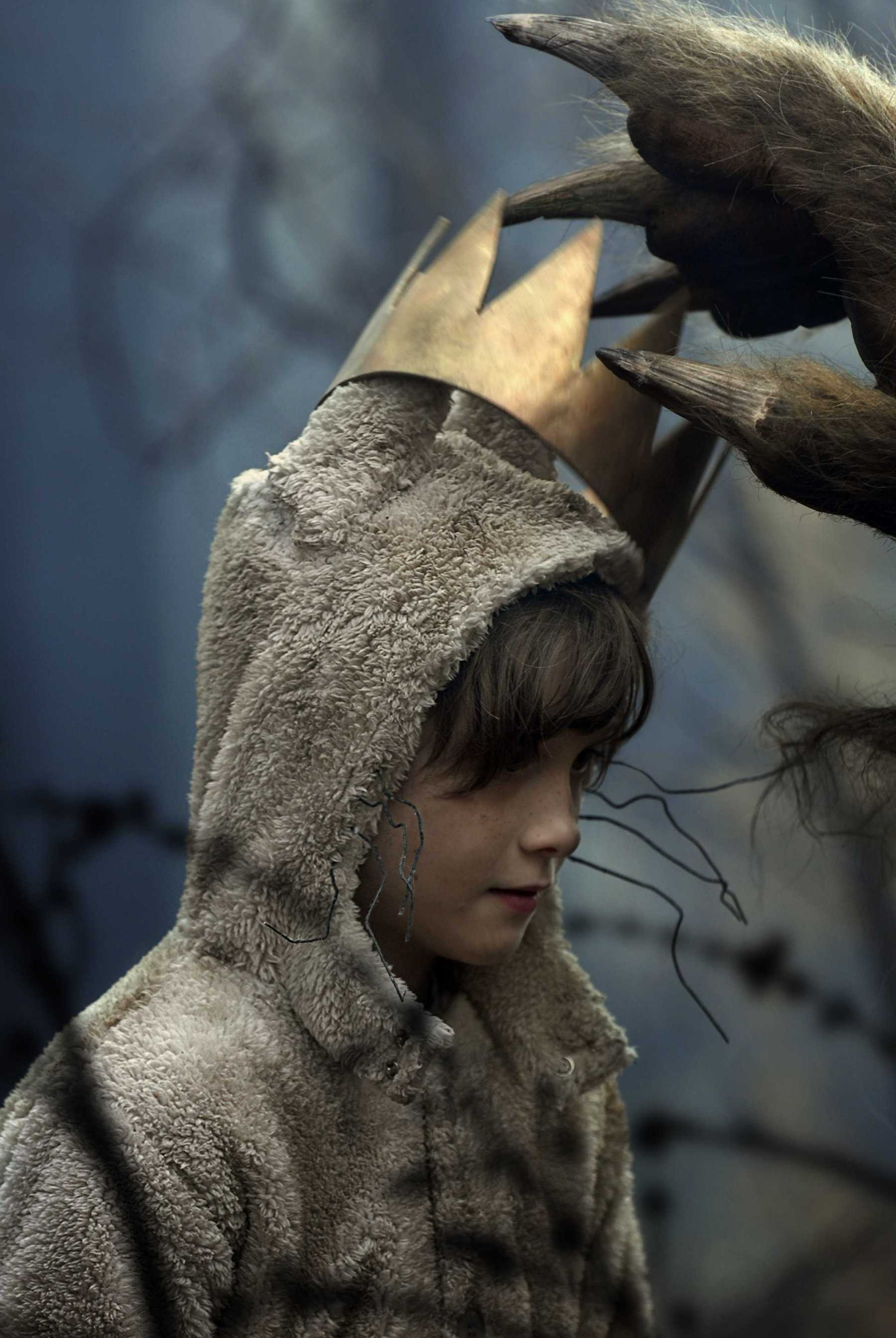 Daredorm Wild Things