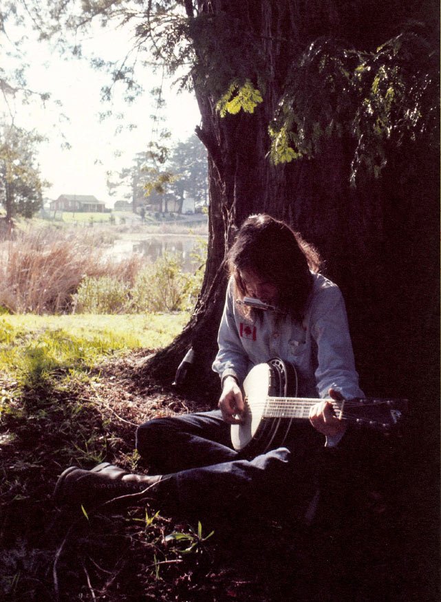 neil young spotify listeners neil young spotify listeners