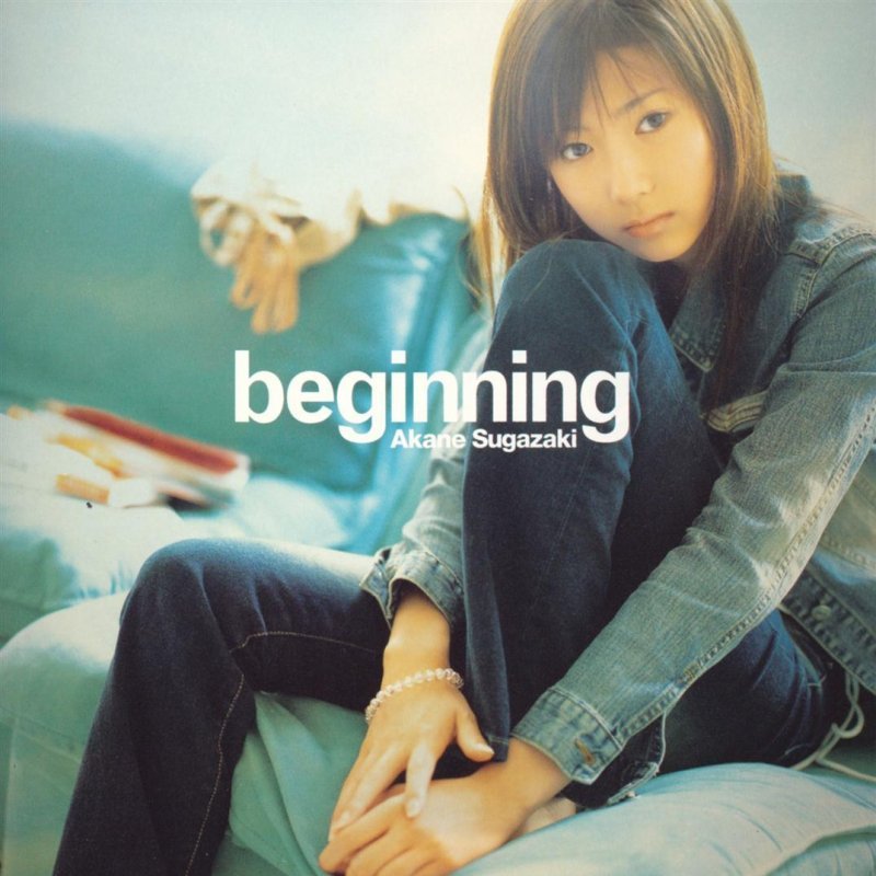 Beginning japanese