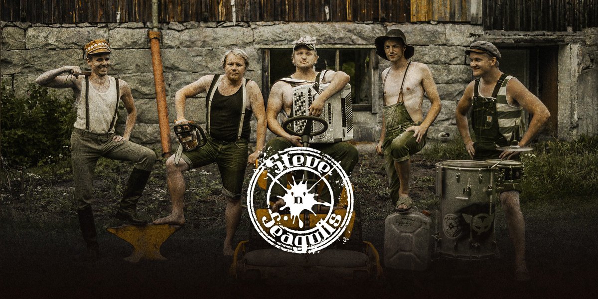 Steve'n'Seagulls lineup, biography Last.fm