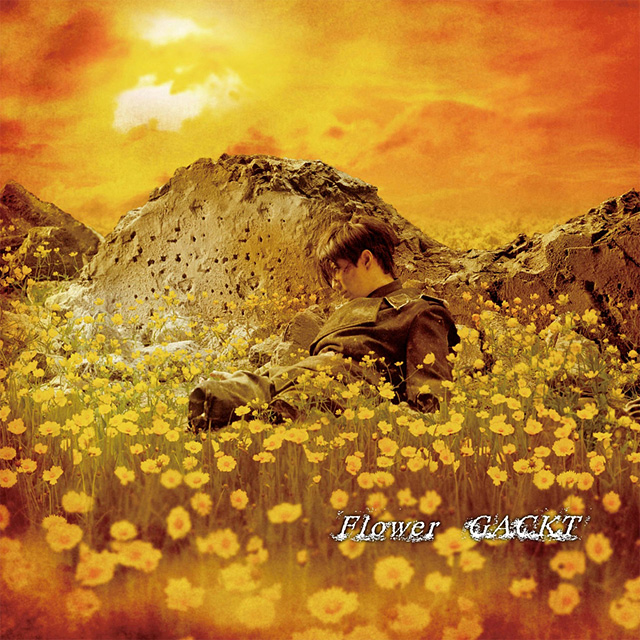 Gackt Flower Beatzone Gackt Flower Beatzone