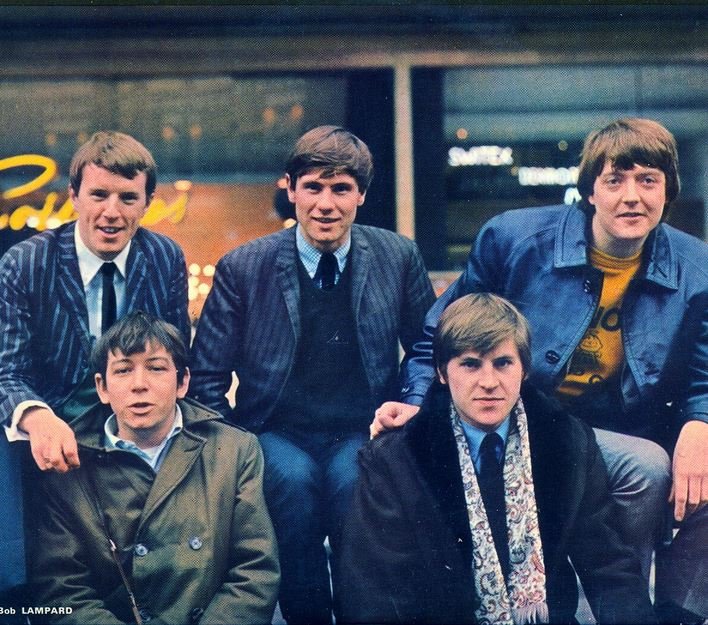 The animals cheap