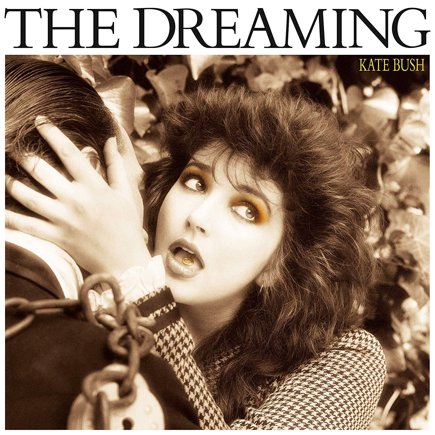 The Dreaming — Kate Bush Last.fm