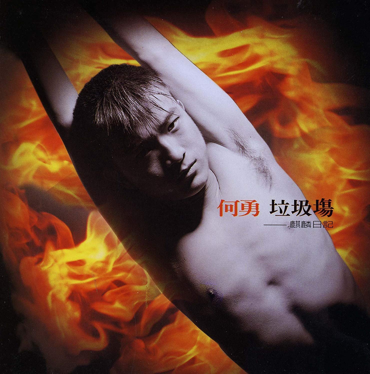 幽灵 — 何勇 | Last.fm