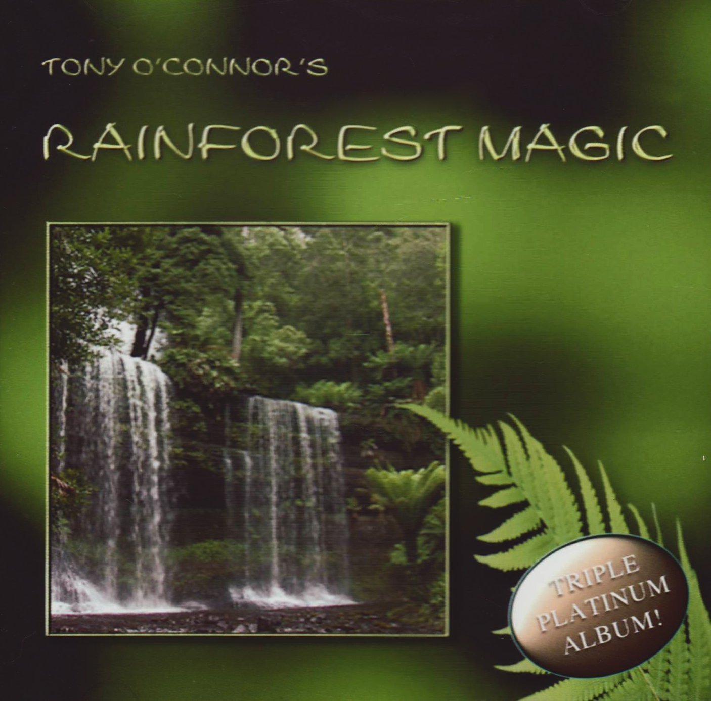 Rainforest magic Rainforest magic