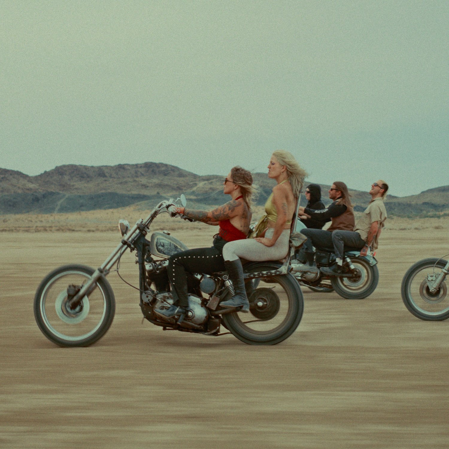 Big Dreams — Amyl and the Sniffers Last.fm