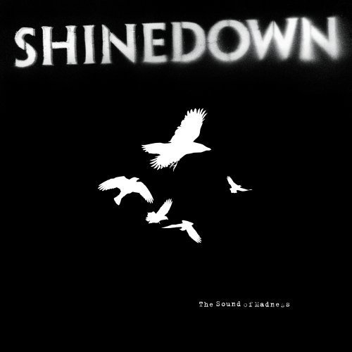 shinedown the sound of madness