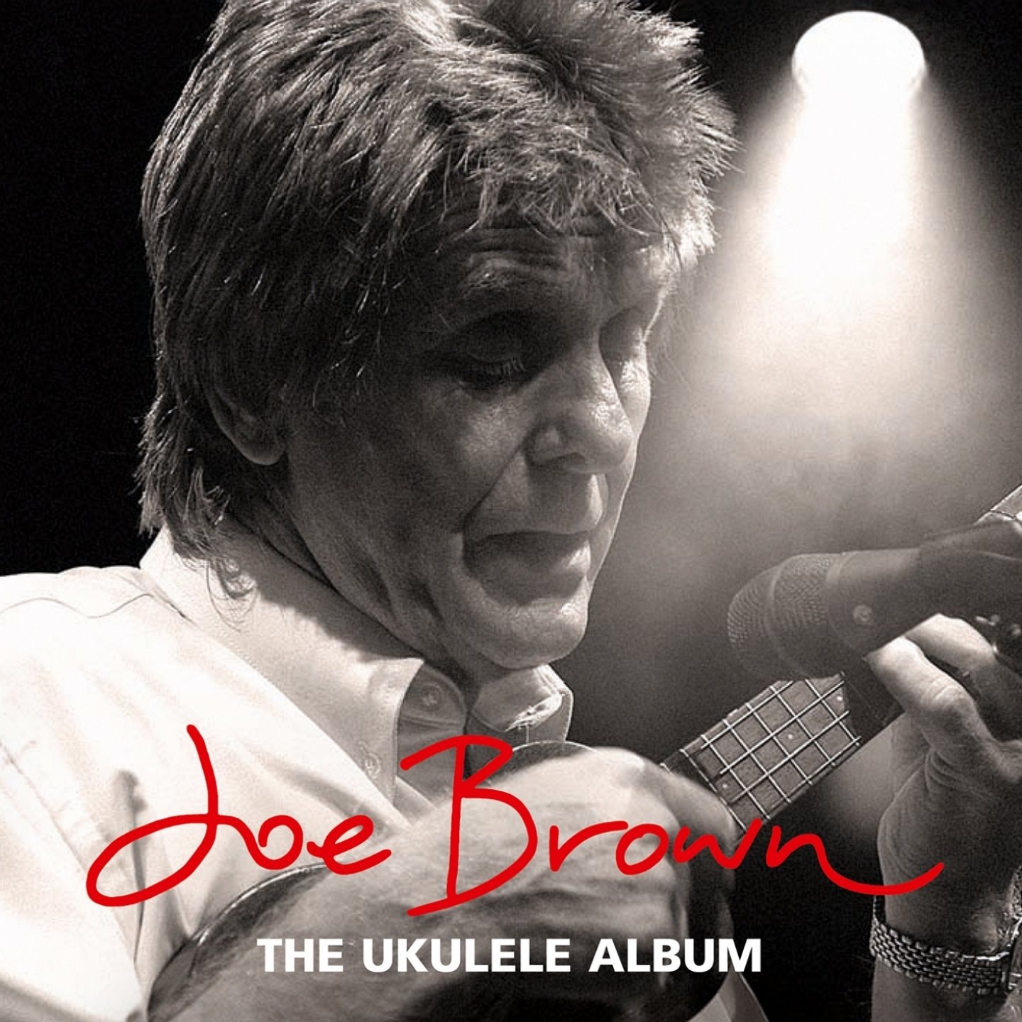 I'll See You in My Dreams — Joe Brown Last.fm