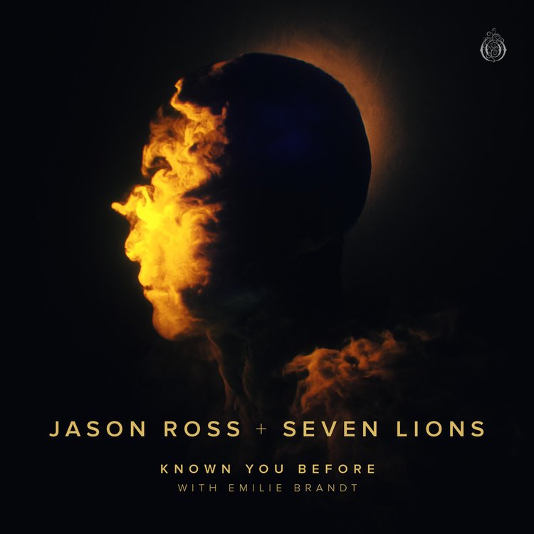 Jason Ross 1000 faces. Seven Lions & Jason Ross feat. Fiora – see you again. Севен Росс фото. Севен росс