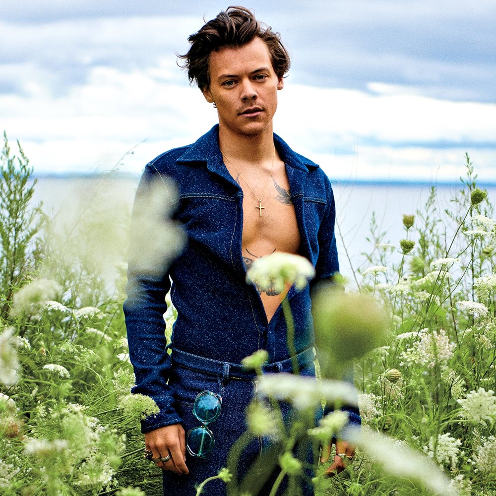 Harry Styles Photos (201 of 324) | Last.fm