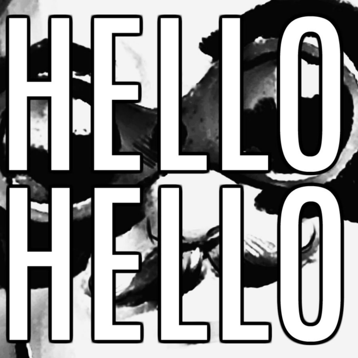 Номер 5 привет. Хеллоу 5. Картинки альбомов группы hello. Cg5 группа. Cg5 feat Dawko Projections.