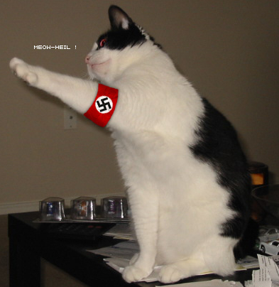 Кот по немецки