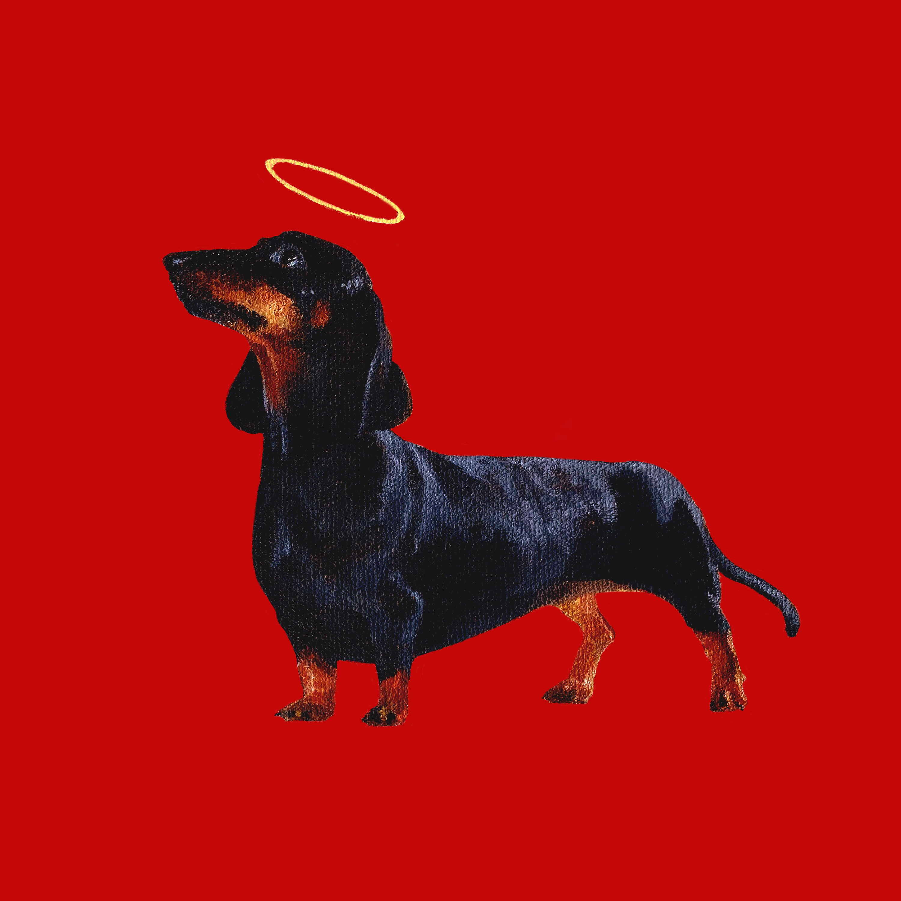 Псы попадают в рай полматери обложка. Псы попадут в рац аолматери. Псы попадают в рай полматери. Собаки не попадают в рай. Все псы попадают в рай 1989.