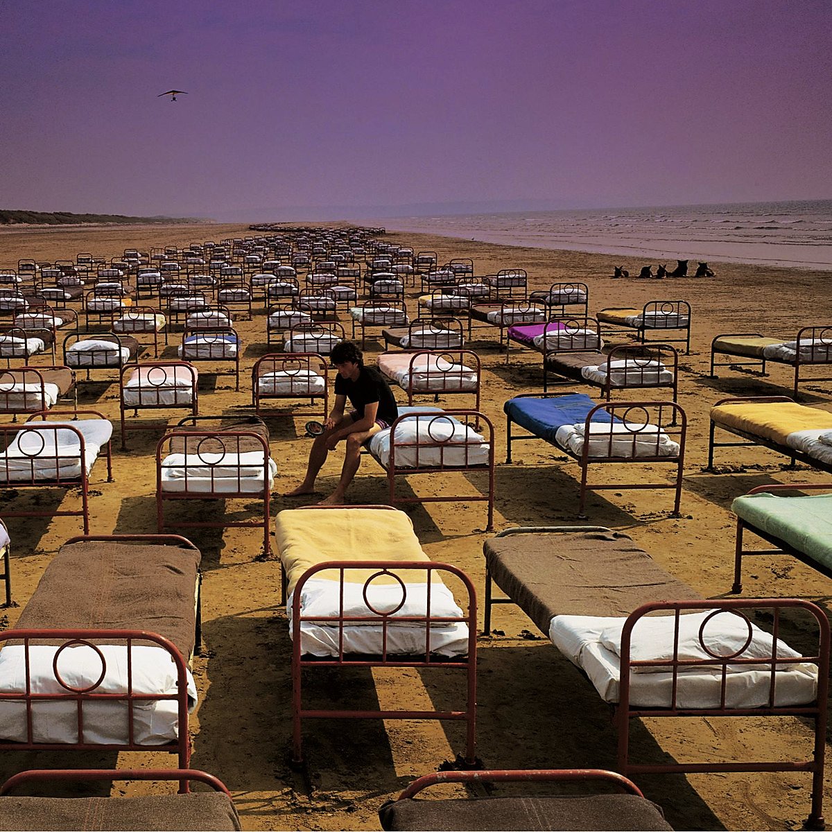 A Momentary Lapse of Reason — Pink Floyd | Last.fm