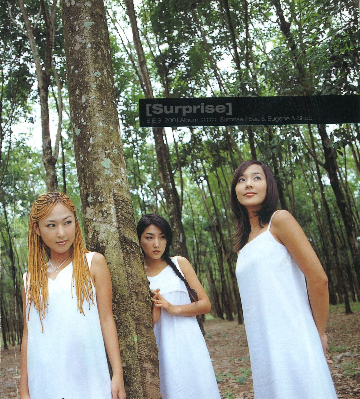 E. S. обложка im your girl s. Ses корейская группа 1997. корейский музыкальный коллектив.