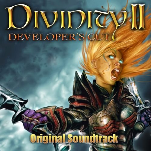 dragon knight divinity original sin 2 dragon knight divinity original sin 2