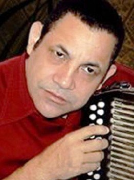 De la 2024 rosa accordion