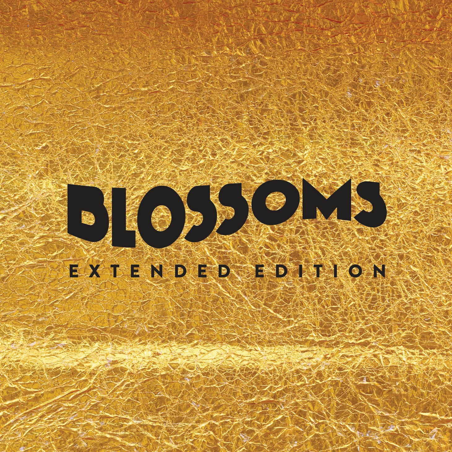 Blossom edition. Blossoms. Blossom слушать. Blossoms Blossoms album Cover. Обложка для mp3 Blossoms - Charlemagne.