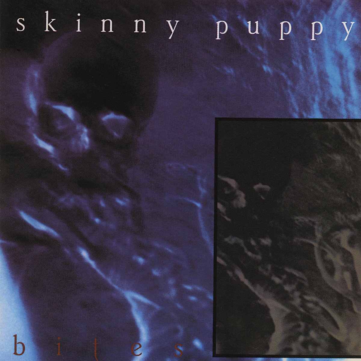 Smothered Hope, Skinny Puppy