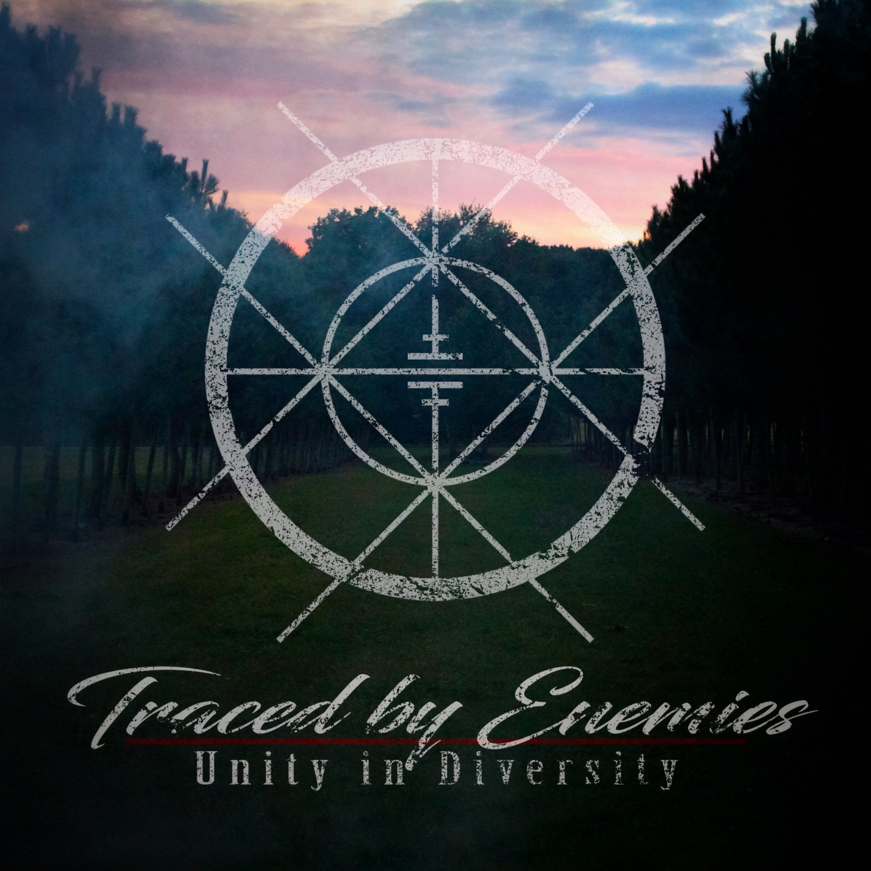 Unity in diversity. Enemy nations. traced. unity песня слушать.