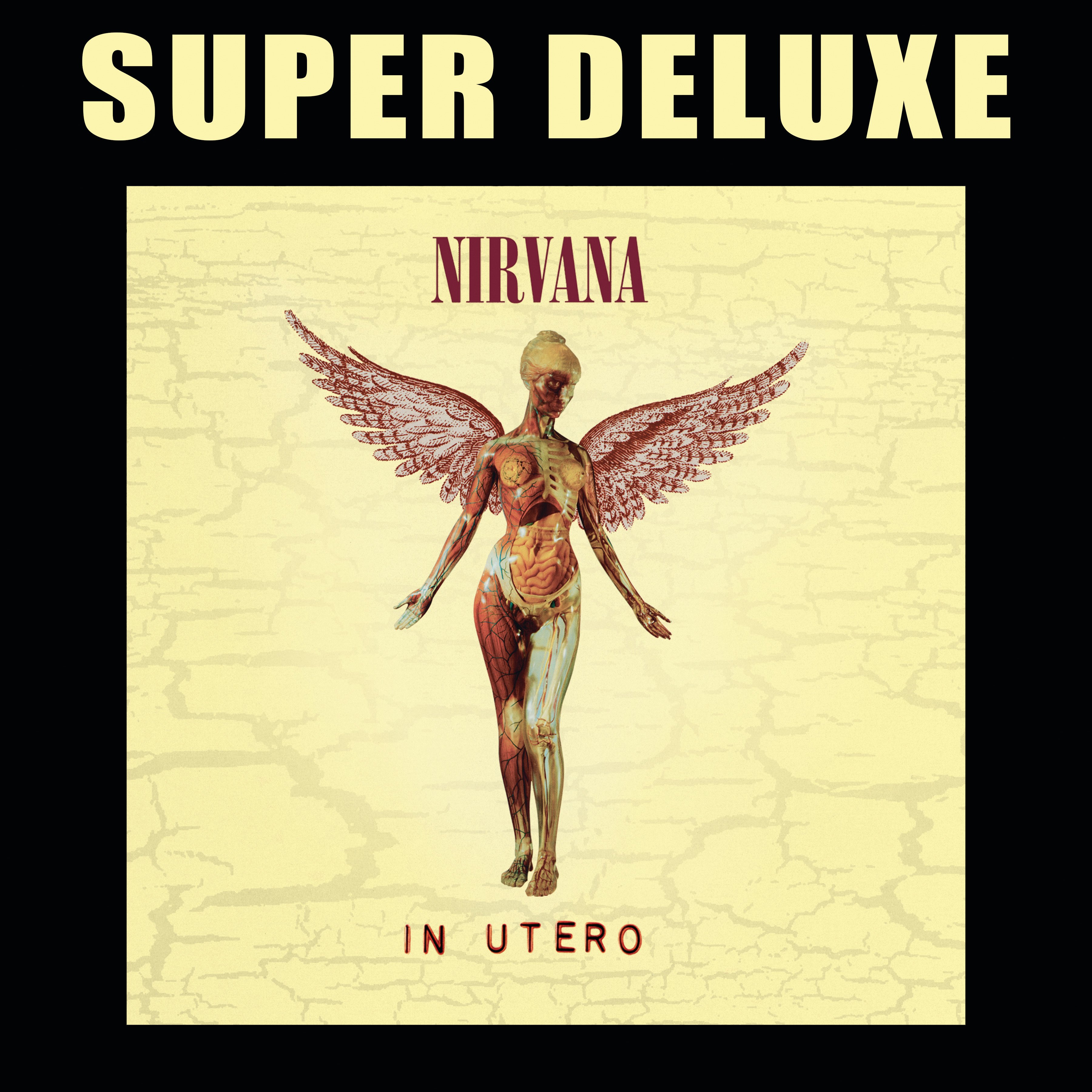 In Utero (20th Anniversary Super Deluxe) — Nirvana | Last.fm