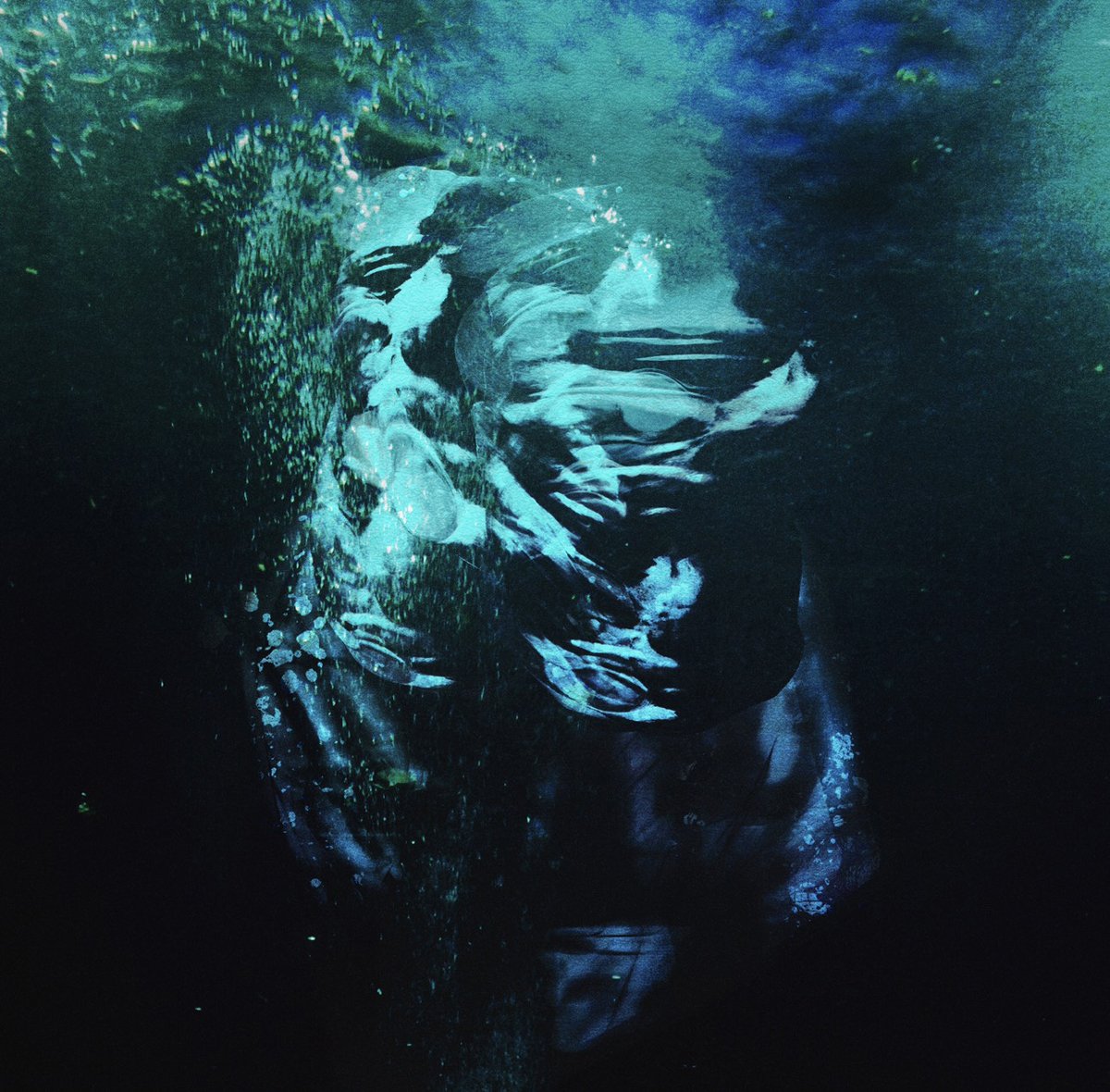 Песня silent in loss. Iwicd - the silent song. silent song. dimlim. song of the silent snow.