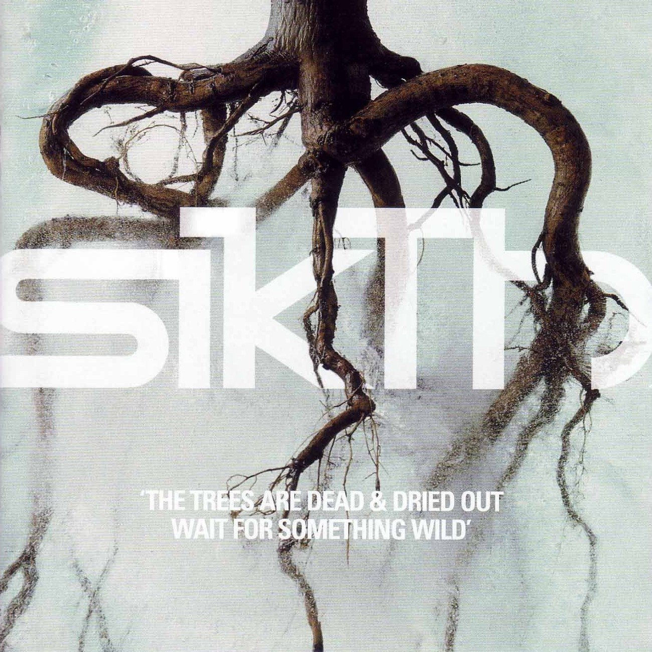 The trees are coming out. Sikth. лес мрачный на обложку трека. альбом zoe keating - into the trees. something wild.