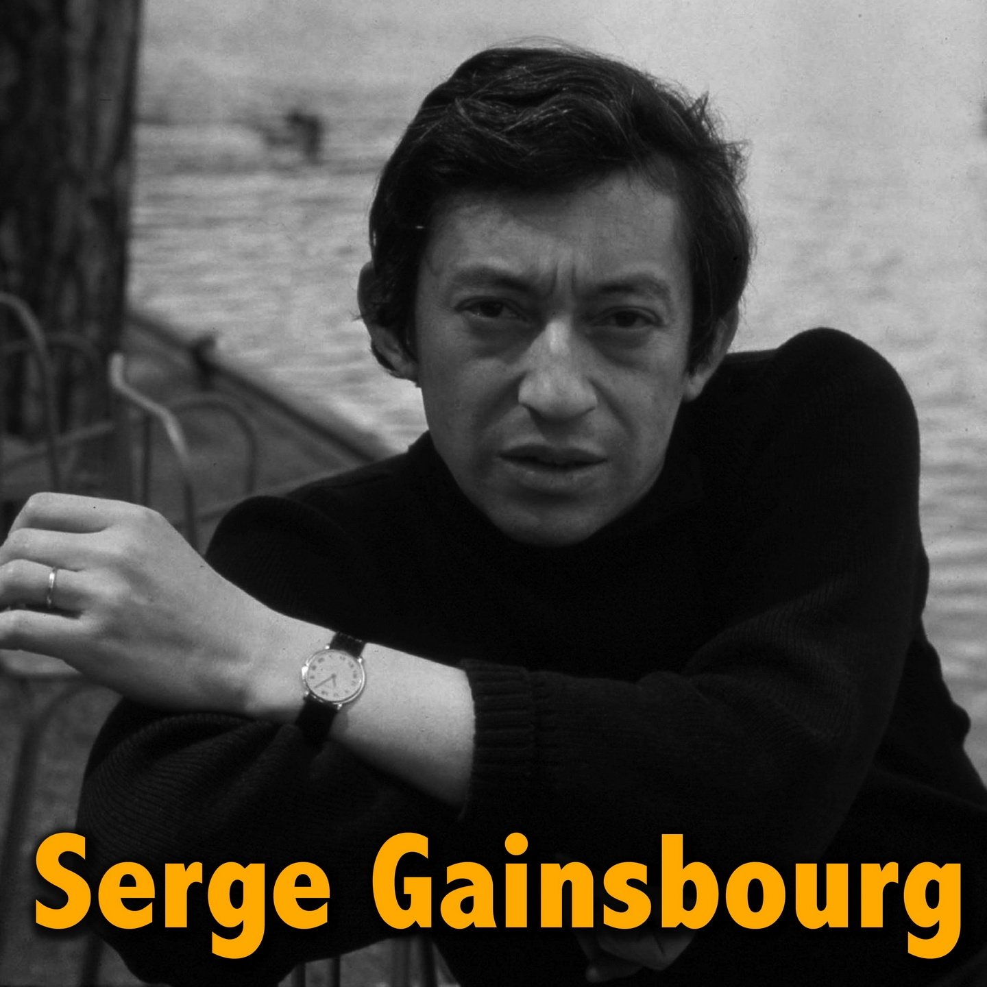 The Best of Serge Gainsbourg — Serge Gainsbourg | Last.fm