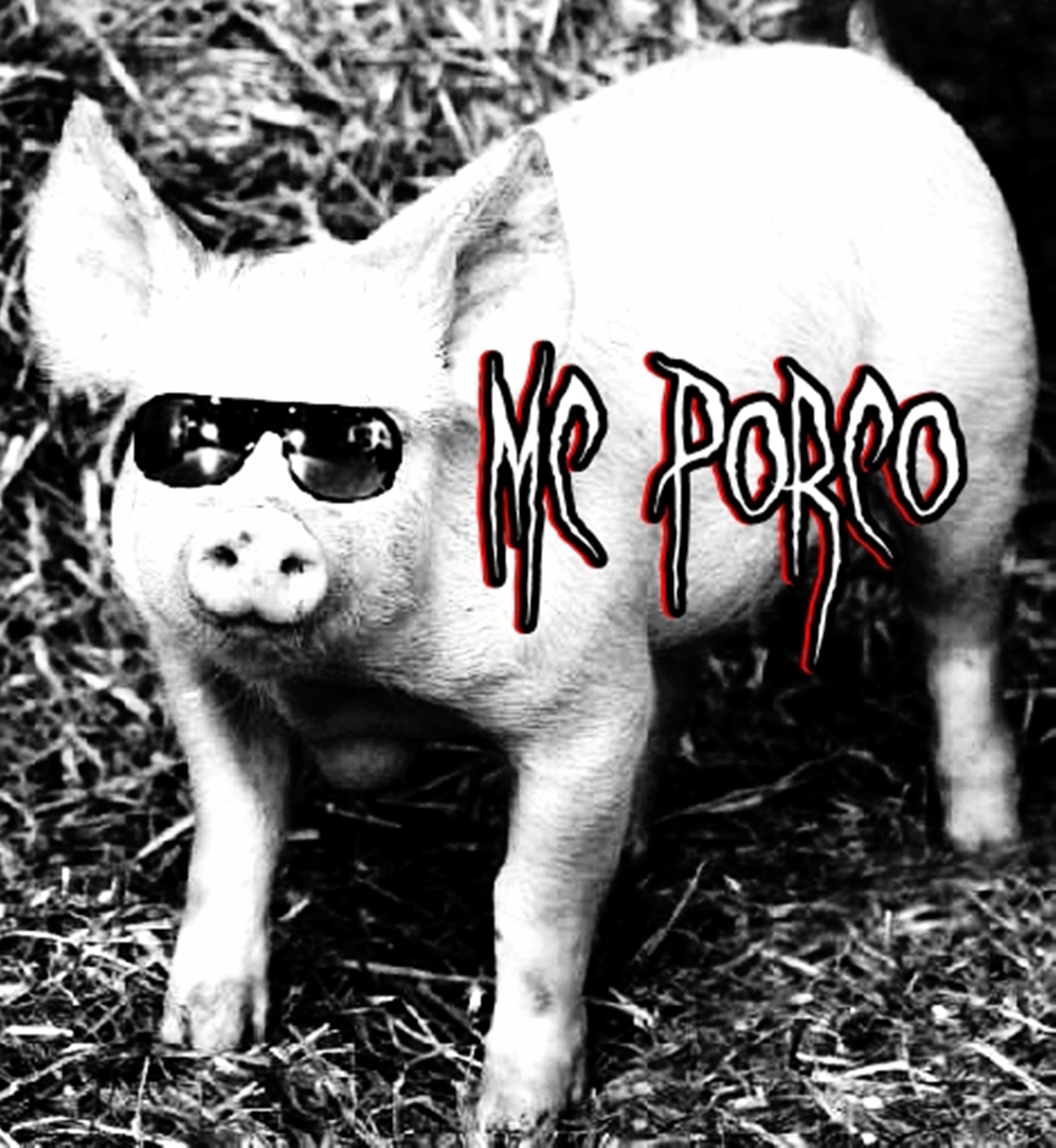 Porko Gratis