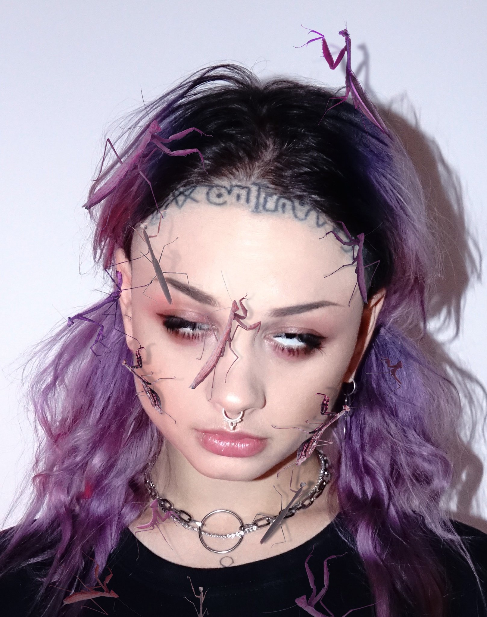 zheani Photos Last.fm