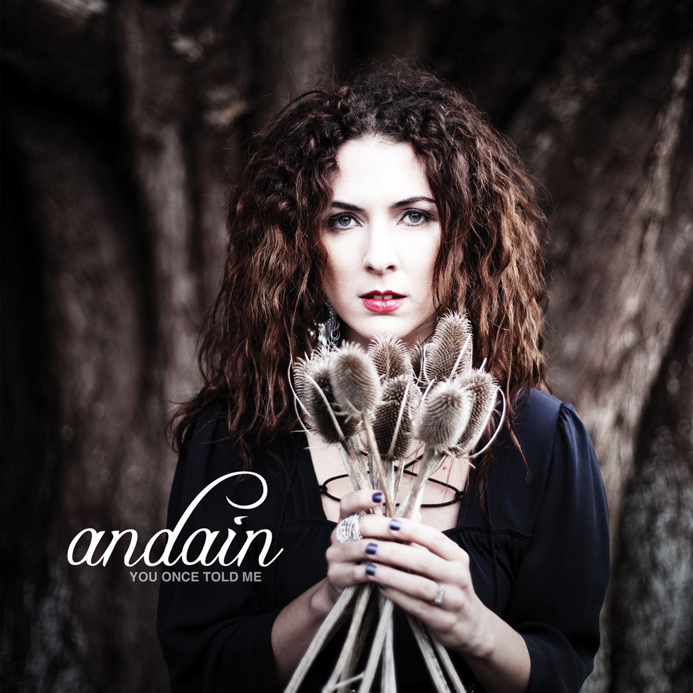 You Once Told Me — Andain | Last.fm