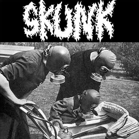 Skunk music, videos, stats, and photos | Last.fm