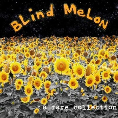 Blind Melon Album