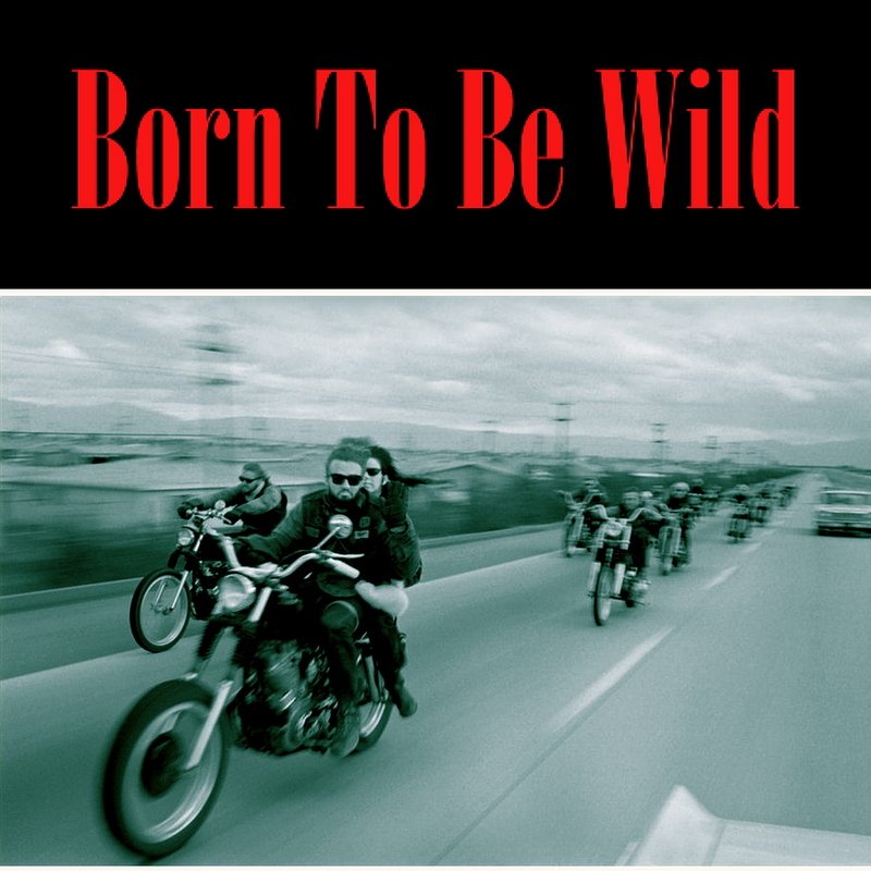 Wild don перевод. Born to be Wild. INXS born to be Wild. Born to be Wild фото. Born to be Wild надпись.